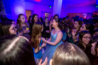 Ava'sBatMitzvah-25