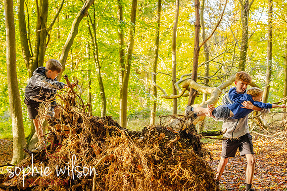Ashridge19OCTOBER2024FamilyShoot-22