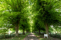 WeddingOfTelanaAndJoeNotleyAbbey16May2025-20