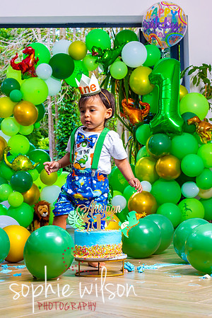 Ahiyaans First Birthday-78