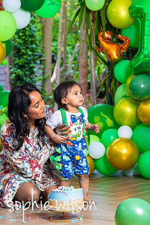 Ahiyaans First Birthday-85