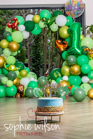 Ahiyaans First Birthday-58