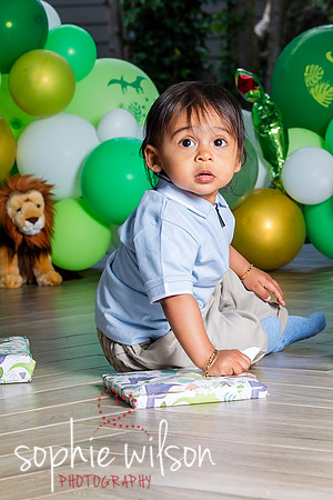 Ahiyaans First Birthday-99