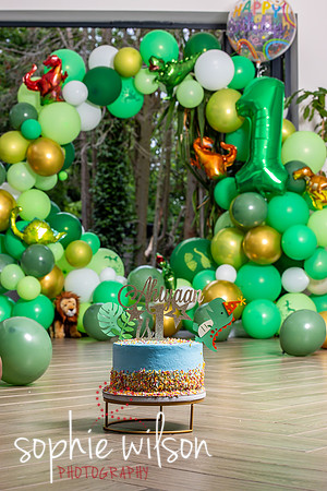 Ahiyaans First Birthday-59
