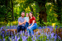 Keysey, Lewis and Felix walk through the bluebells-1