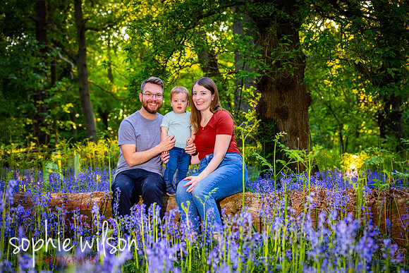 Keysey, Lewis and Felix walk through the bluebells-1