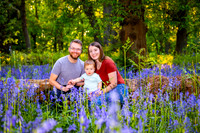 Keysey, Lewis and Felix walk through the bluebells-4