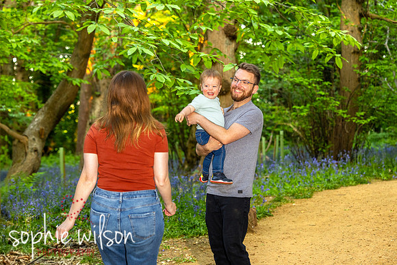 Keysey, Lewis and Felix walk through the bluebells-9