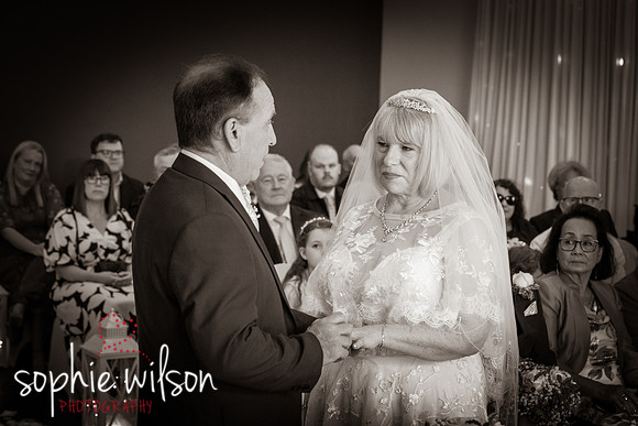 WeddingOfDavid&Dawn-100