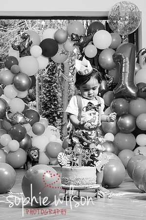 Ahiyaans First Birthday-80