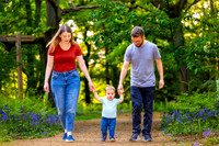 Keysey, Lewis and Felix walk through the bluebells-7
