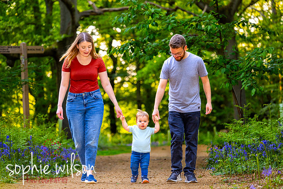 Keysey, Lewis and Felix walk through the bluebells-7