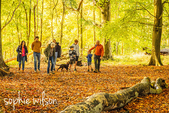 Ashridge19OCTOBER2024FamilyShoot-23