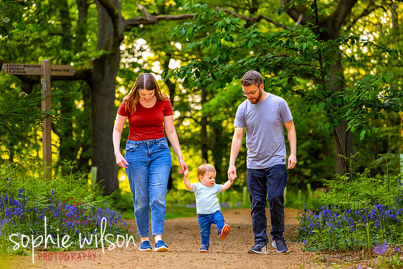 Keysey, Lewis and Felix walk through the bluebells-6