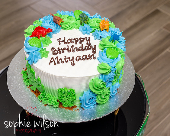 Ahiyaans First Birthday-106